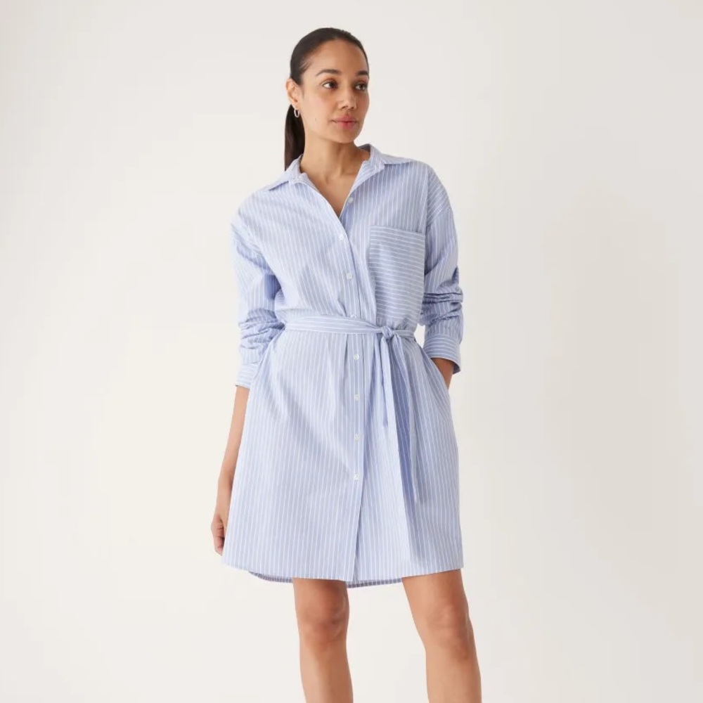 Frank & Oak Blue and White Striped Shirt Dress with Belt and Pockets